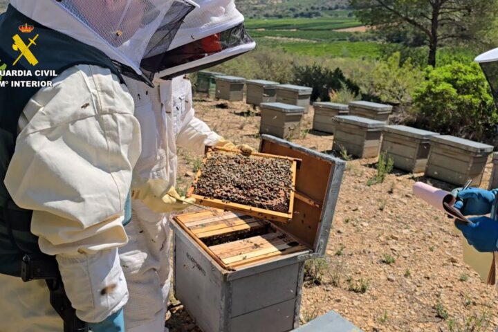 Miel contaminada por pesticidas | Fuente: GC