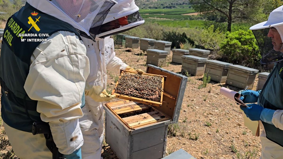 Miel contaminada por pesticidas | Fuente: GC