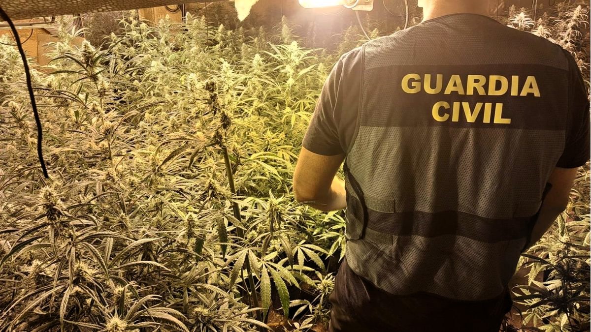 Consumir marihuana será legal contra el dolor y la quimio