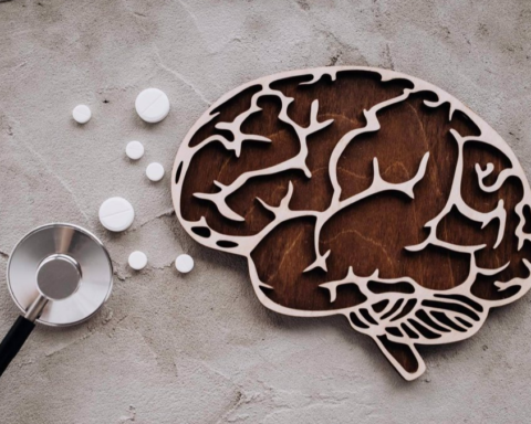 Imagen de stock de un esquema del cerebro humano | | Fuente: Sutterstock / Europa Press