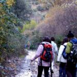 'El bosque encantado', la fantasía del otoño