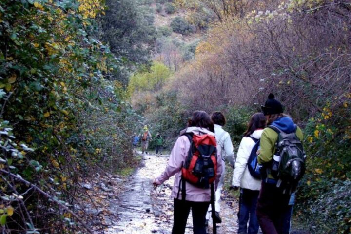 'El bosque encantado', la fantasía del otoño