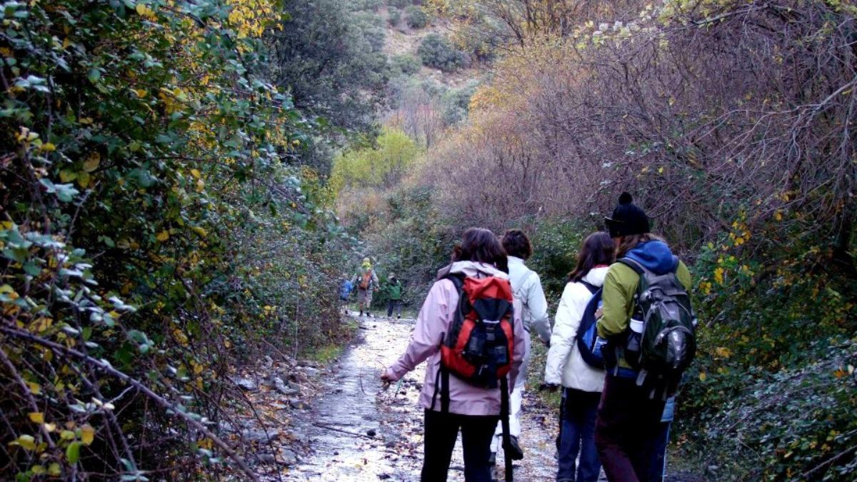 'El bosque encantado', la fantasía del otoño