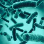 Las bacterias que viven en el intestino