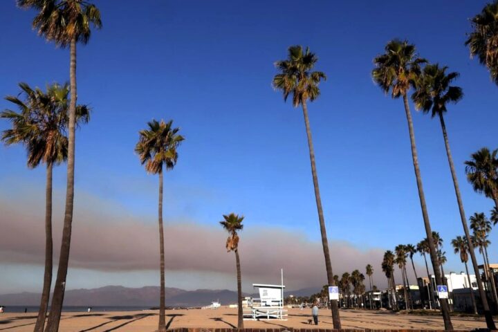 Los Ángeles, en otra noche de terror y angustia