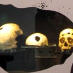 Cráneos humanos trepanados o cómo llegar al interior del cerebro