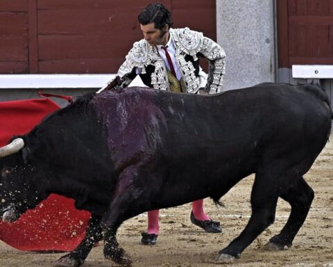 Ciudad de México prohíbe herir y matar al toro en las corridas