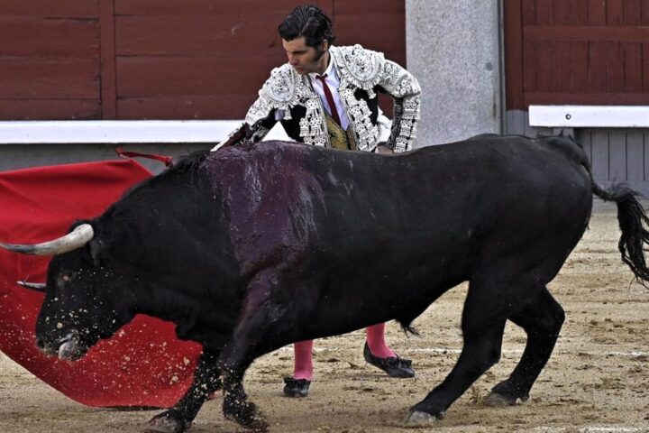 Ciudad de México prohíbe herir y matar al toro en las corridas