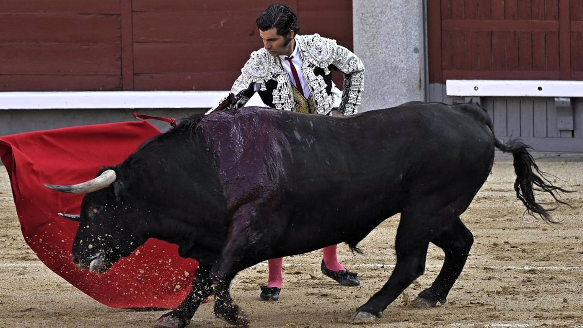 Ciudad de México prohíbe herir y matar al toro en las corridas