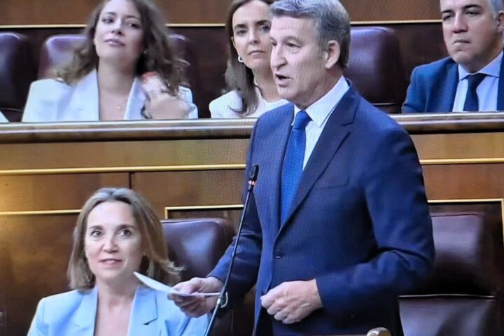 Feijó a Sánchez: "Son los españoles los que quieren salvarse de usted"