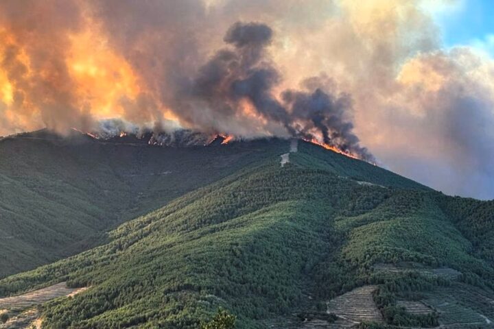 Más de 500 efectivos luchan contra el incendio en Ávila, que se ha convertido en un monstruo de fuego
