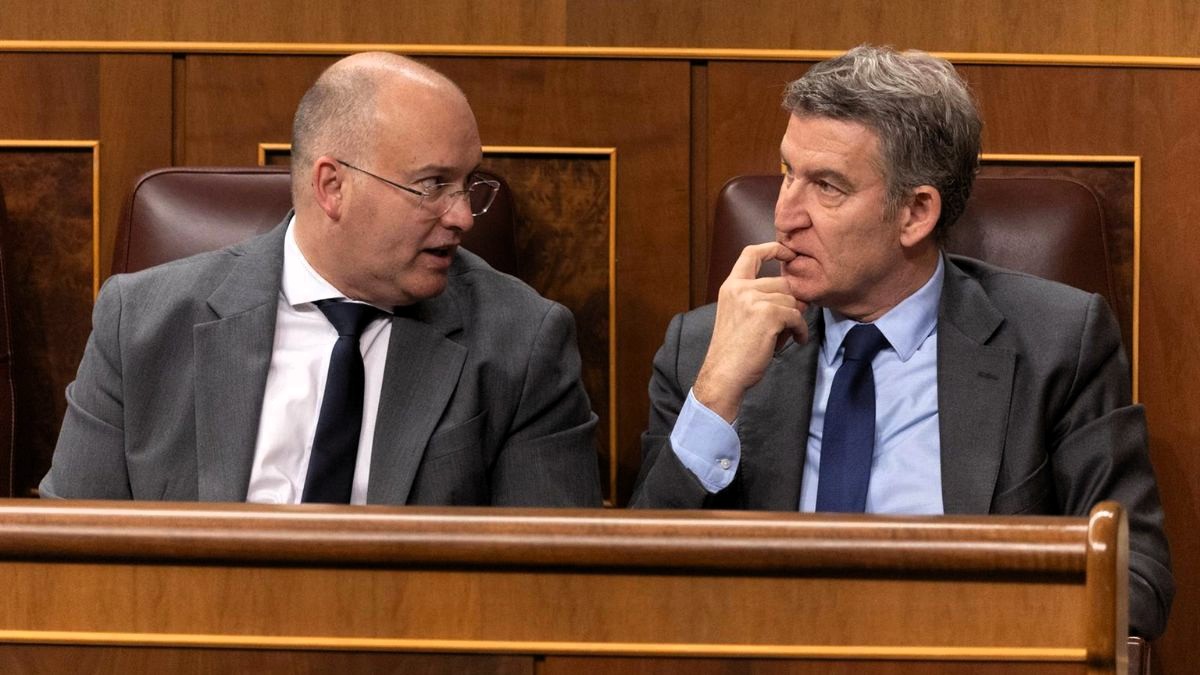 Feijóo da todo el control orgánico del PP a Tellado, que asumirá las competencias de Organización que dirigía Carmen Fúnez