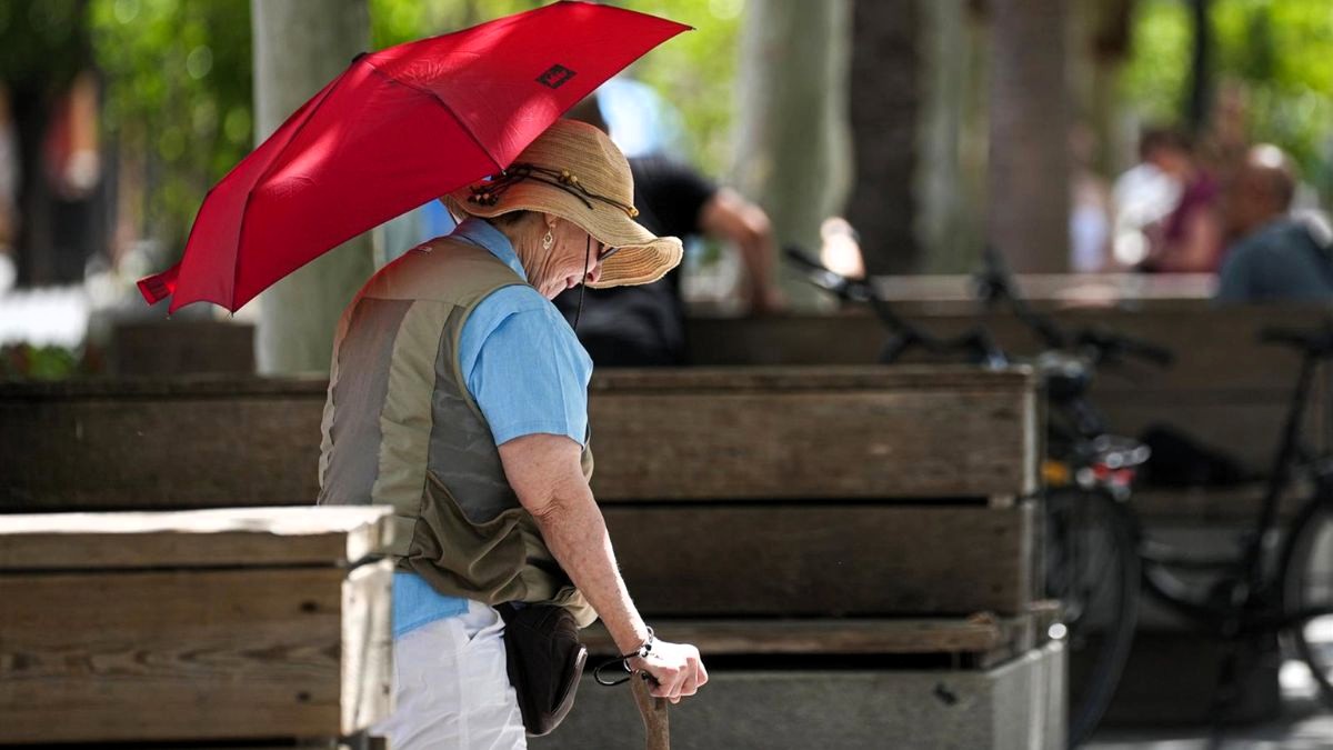 Córdoba, Jaén y Granada tendrán este lunes avisos por temperaturas extremas en una jornada soleada en casi toda España