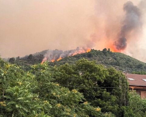 Incendios sin control devoran parajes naturales en Ávila y Cáceres y mantienen en vilo a miles de personas