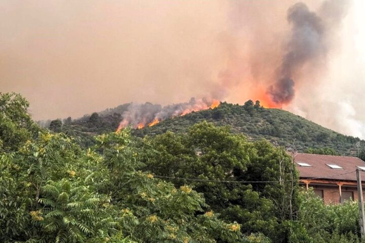 Incendios sin control devoran parajes naturales en Ávila y Cáceres y mantienen en vilo a miles de personas