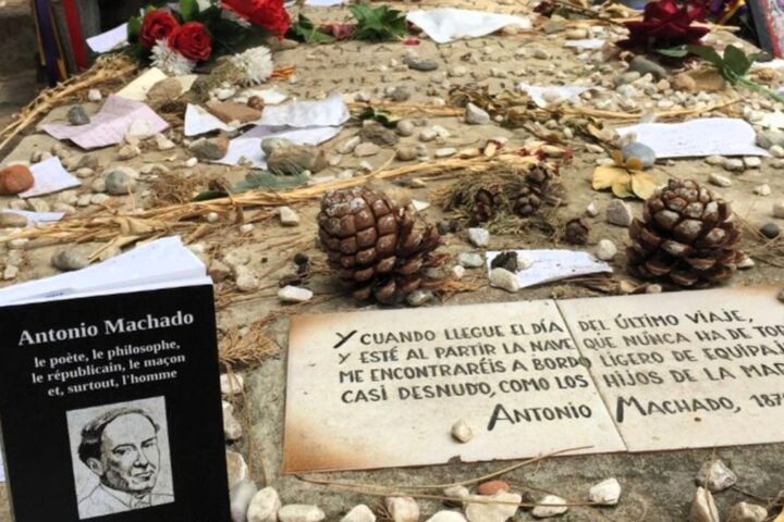 Don Antonio