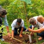 'Sembradores de futuro': los fundadores de Bosques de la Poesía, distinguidos en España