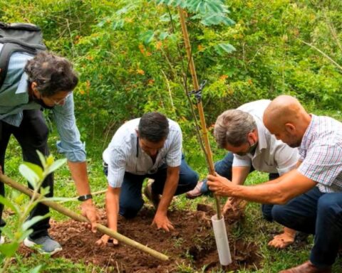 'Sembradores de futuro': los fundadores de Bosques de la Poesía, distinguidos en España