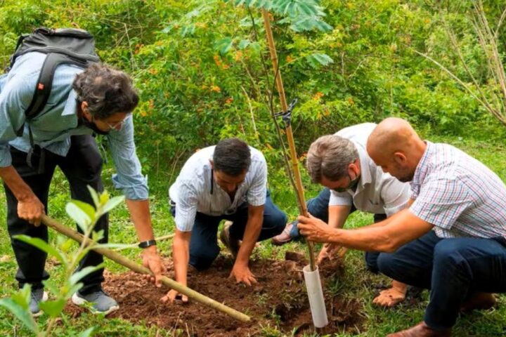 'Sembradores de futuro': los fundadores de Bosques de la Poesía, distinguidos en España