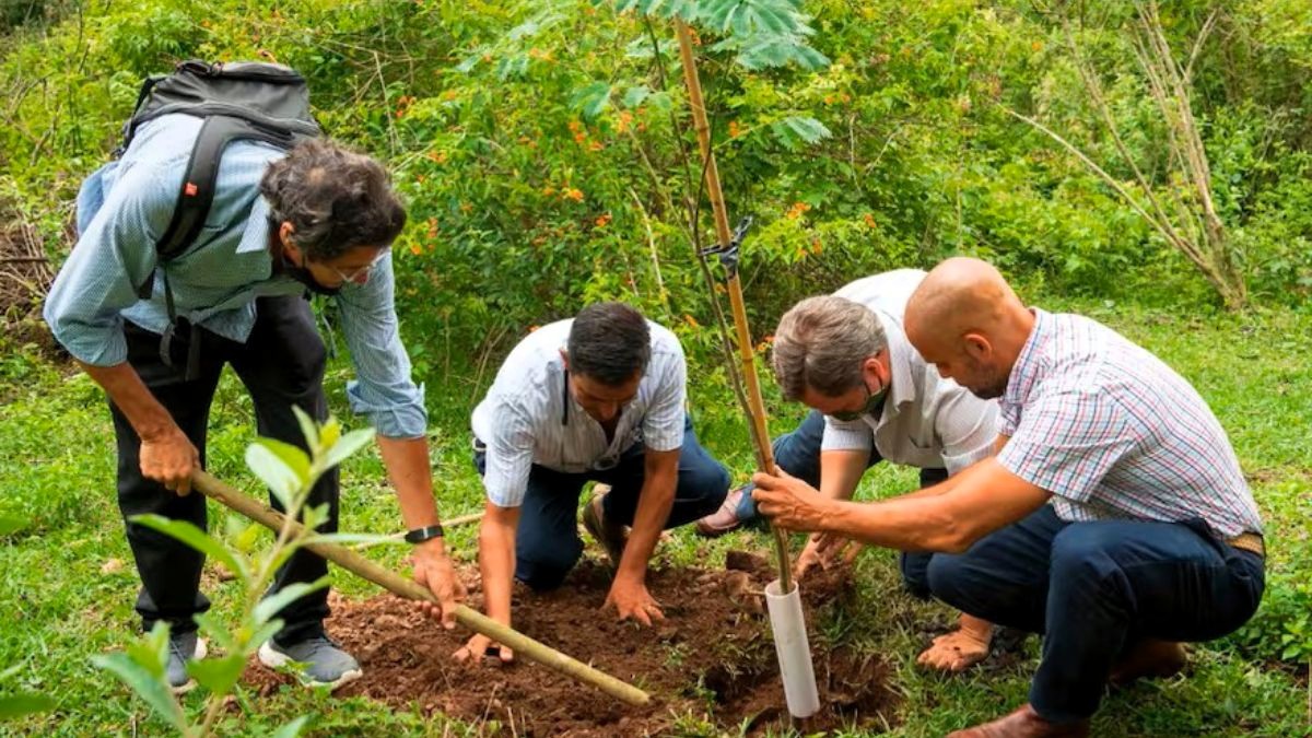 'Sembradores de futuro': los fundadores de Bosques de la Poesía, distinguidos en España