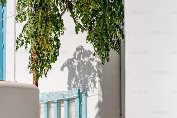 Jardin Rene