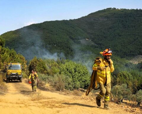 Continúan activos los incendios en Ávila y Cáceres pero por primera vez en días su evolución es favorable