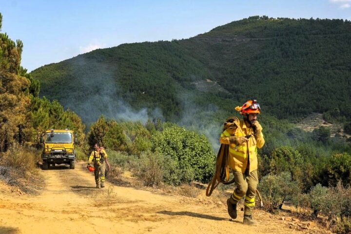 Continúan activos los incendios en Ávila y Cáceres pero por primera vez en días su evolución es favorable