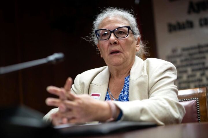 La empresaria Carmen Pano ratifica en el Senado que entregó en la sede del PSOE 90.000 euros en efectivo