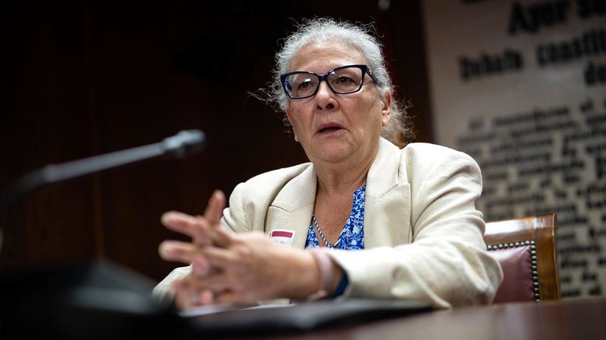 La empresaria Carmen Pano ratifica en el Senado que entregó en la sede del PSOE 90.000 euros en efectivo