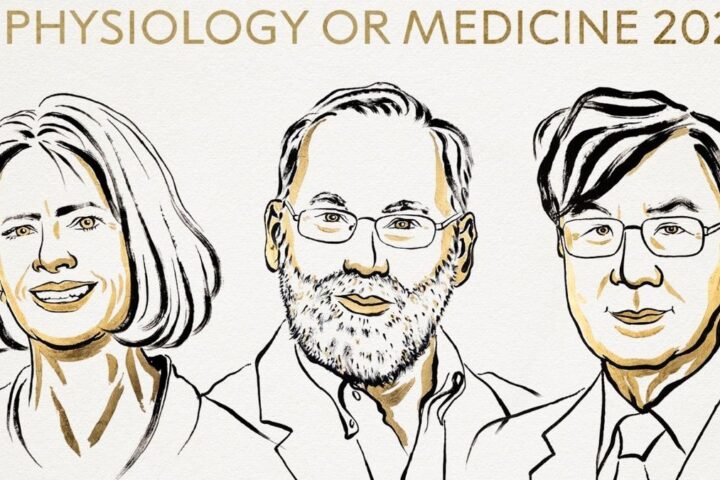 El Nobel de Medicina premia los descubrimientos para que el sistema inmune no ataque los tejidos de su propio cuerpo