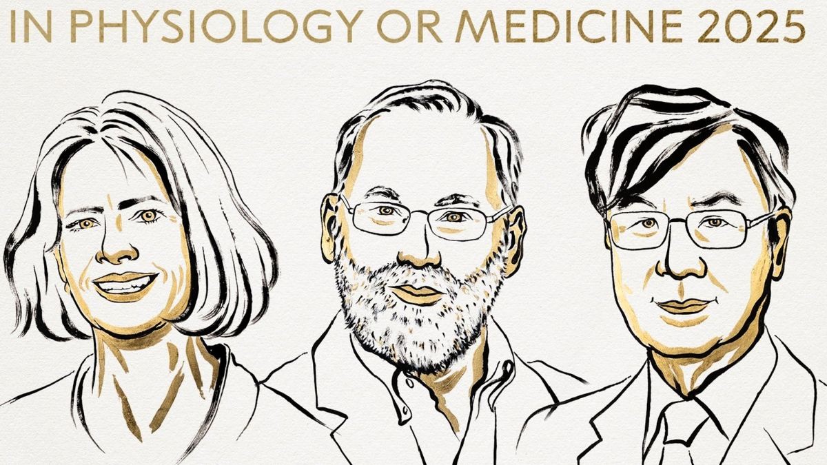 El Nobel de Medicina premia los descubrimientos para que el sistema inmune no ataque los tejidos de su propio cuerpo