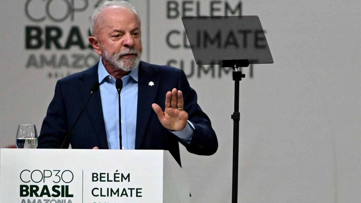 Nace el proyecto Bosques Tropicales con el apoyo de 53 países y una inversión de casi 5.00 millones de euros