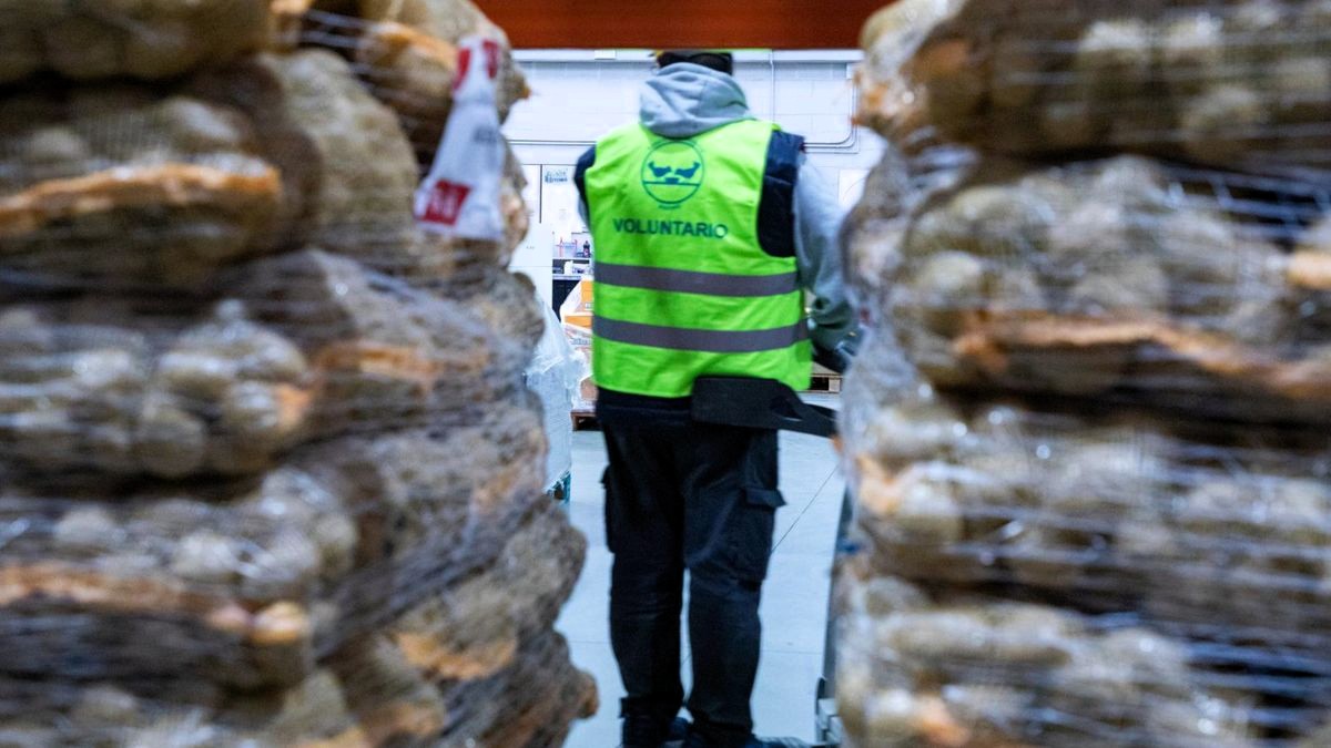 Más de 11.000 supermercados en la Gran Recogida de los Bancos de Alimentos, que empieza hoy