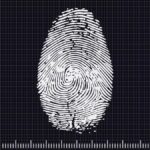 ¿Por qué tenemos huellas dactilares y para qué sirven realmente?