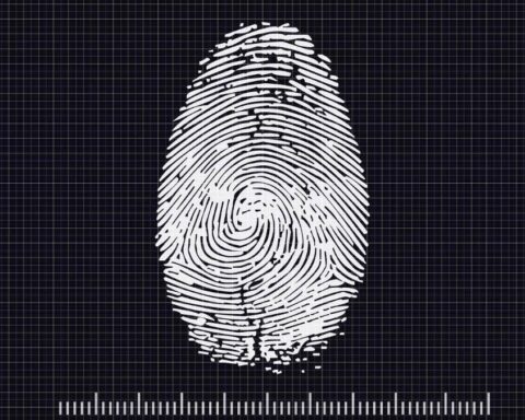 ¿Por qué tenemos huellas dactilares y para qué sirven realmente?