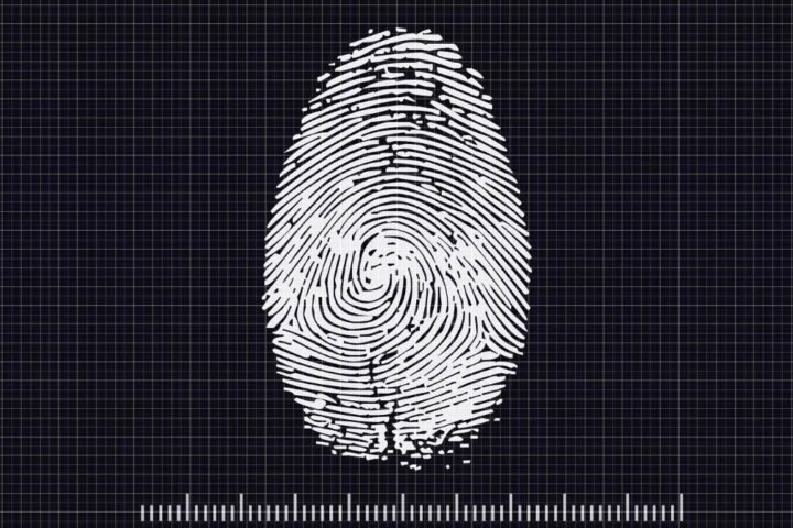 ¿Por qué tenemos huellas dactilares y para qué sirven realmente?
