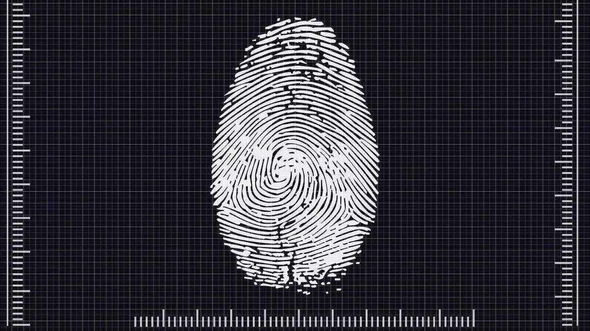 ¿Por qué tenemos huellas dactilares y para qué sirven realmente?