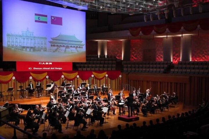 Viajar es irse por las ramas. ( Silvia Espinosa)