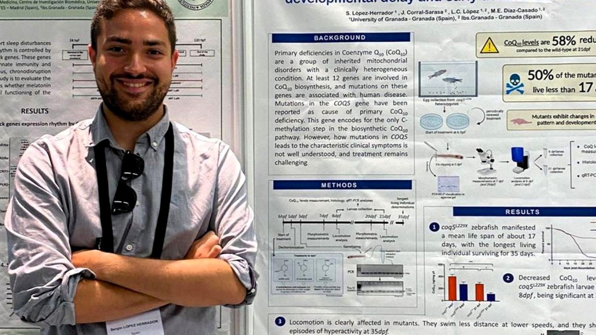 Descubrimiento científico contra el hígado graso