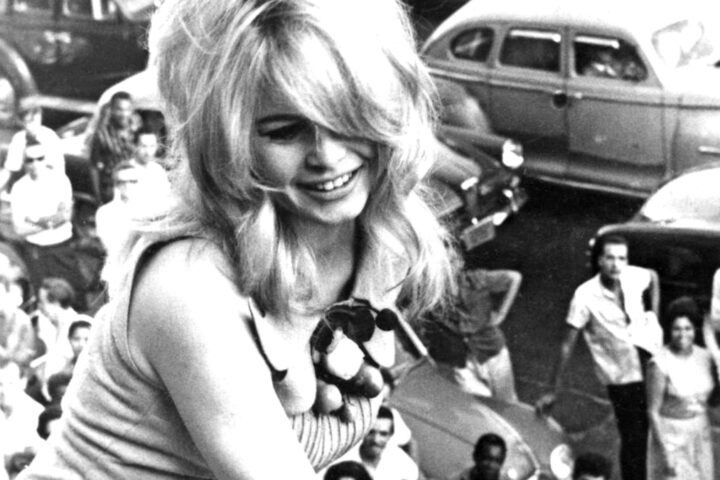 Ha sido reconocida por haber sido icono de la moda y símbolo sexual además de activista de derechos de los animales