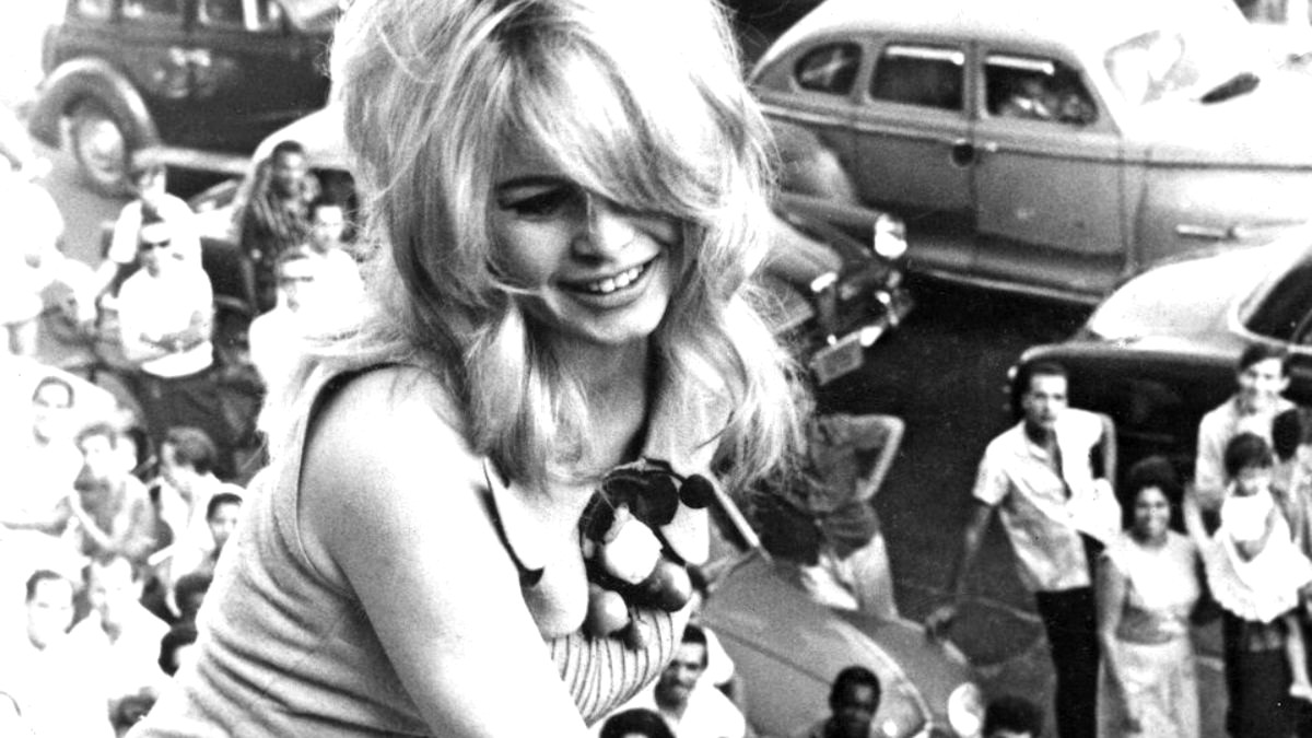 Ha sido reconocida por haber sido icono de la moda y símbolo sexual además de activista de derechos de los animales