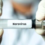 Identifican la nueva variante de norovirus responsable del aumento de brotes de gastroenteritis en todo el mundo
