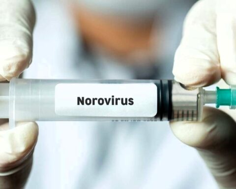 Identifican la nueva variante de norovirus responsable del aumento de brotes de gastroenteritis en todo el mundo