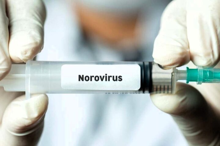 Identifican la nueva variante de norovirus responsable del aumento de brotes de gastroenteritis en todo el mundo