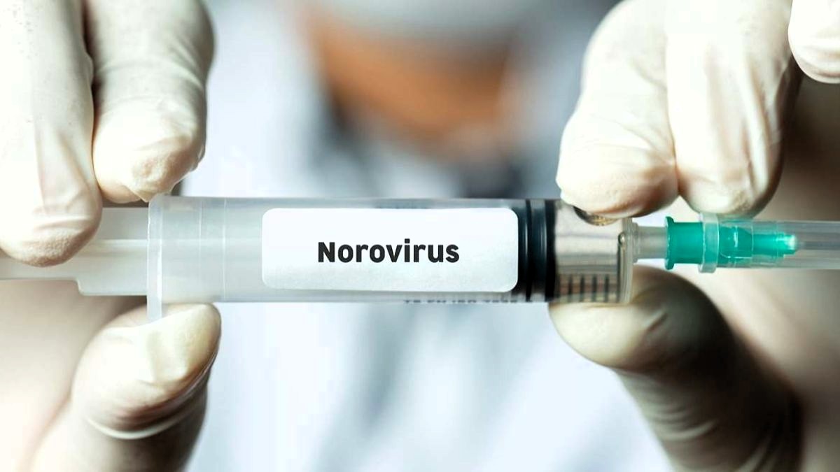 Identifican la nueva variante de norovirus responsable del aumento de brotes de gastroenteritis en todo el mundo