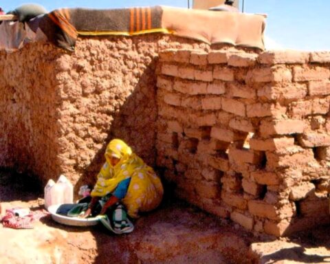 Cincuenta años en la hammada: la cadena de traiciones de España a un pueblo abandonado en el peor desierto