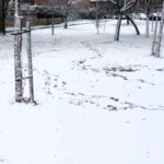 Madrid amanece cubierta de un ligero manto de nieve pero sin incidentes reseñables