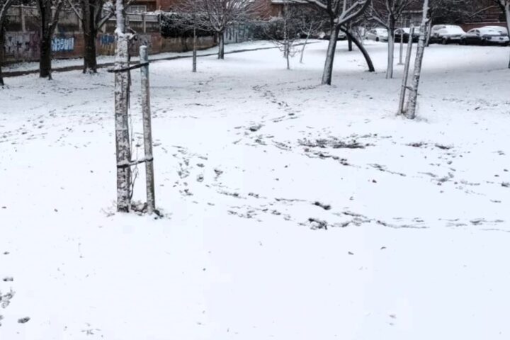 Madrid amanece cubierta de un ligero manto de nieve pero sin incidentes reseñables