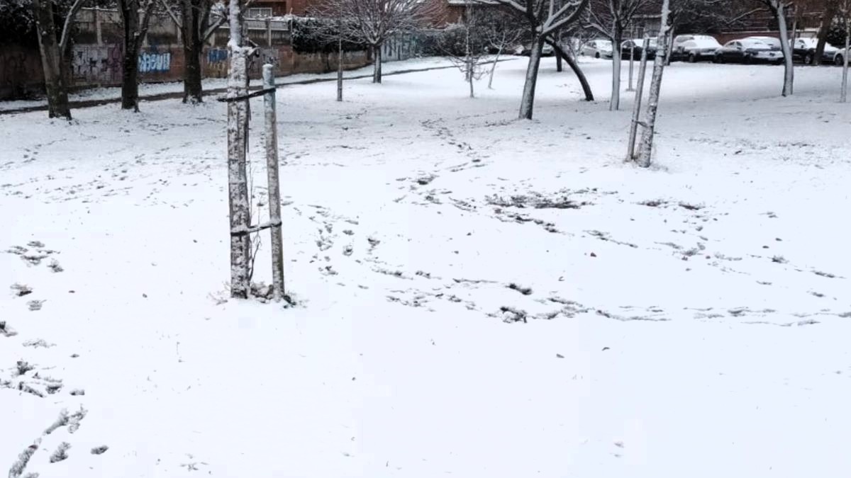 Madrid amanece cubierta de un ligero manto de nieve pero sin incidentes reseñables